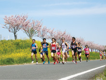 マラソン大会
