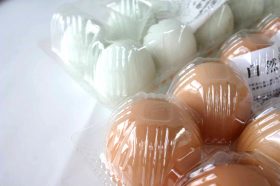 egg1